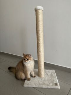 (Category: ) located in . Submitted by kit55 (Listing ID 1253062591, Image 1). Description: .