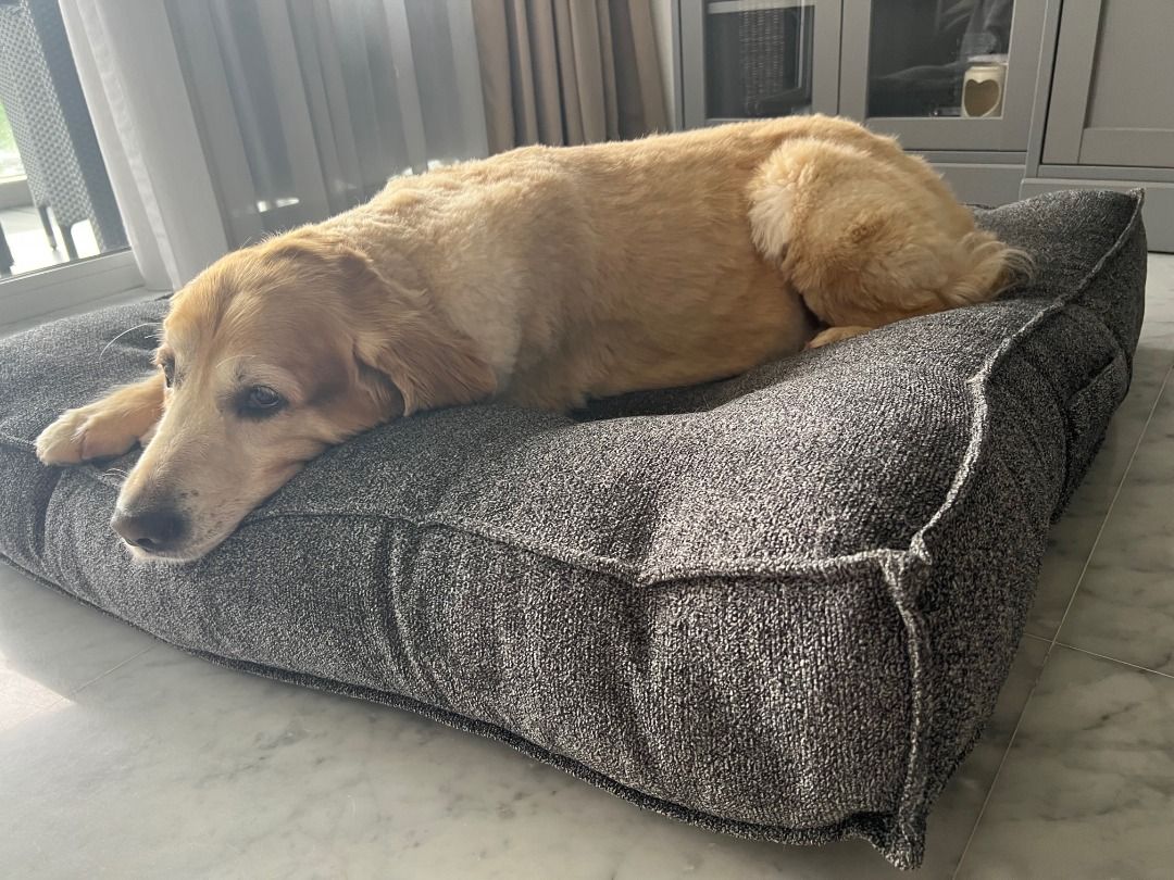 Dog bed crate and sales barrel