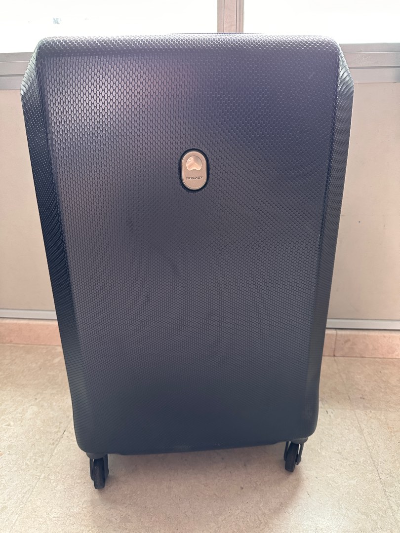 Delsey Misam 71cm Hobbies Toys Travel Luggage on Carousell