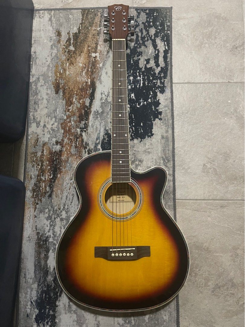 Chard shop guitar company