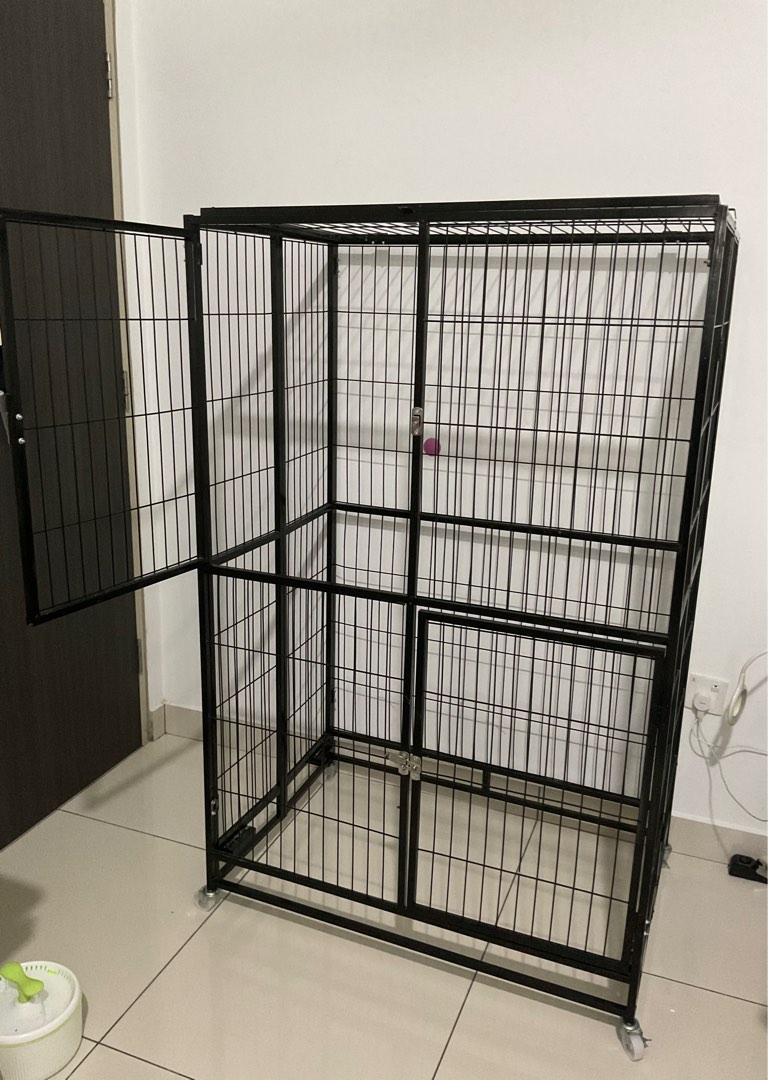 Olx cat on sale cage