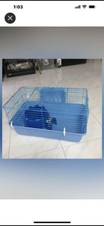 (Category: ) located in . Submitted by yscparrot (Listing ID 1253024139, Image 1). Description: .
