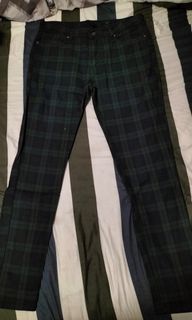H&m pants