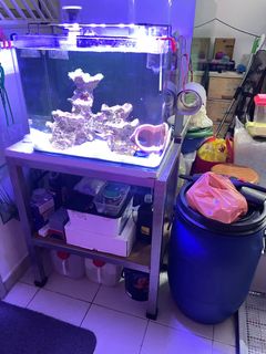 (Category: ) located in . Submitted by alvin_555 (Listing ID 1253133487, Image 1). Description: .