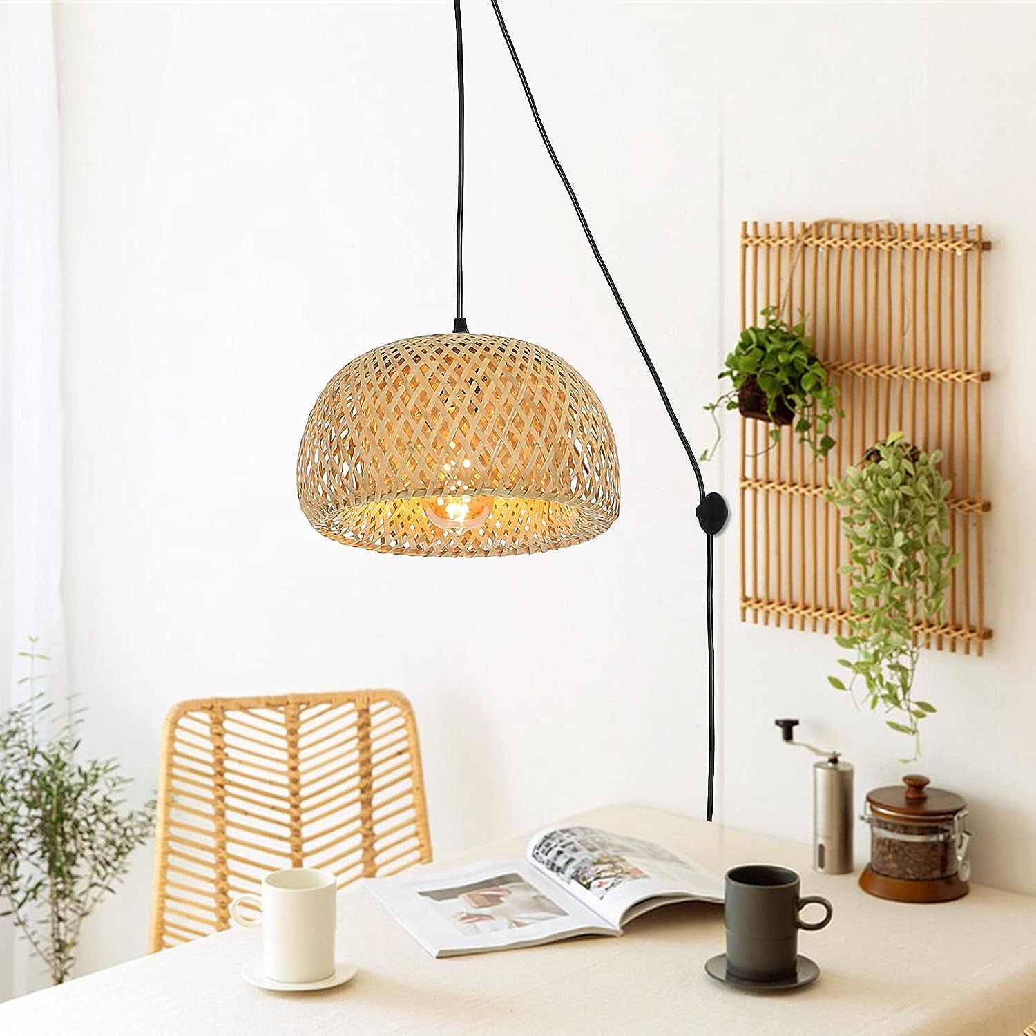 Rustic plug discount in pendant light