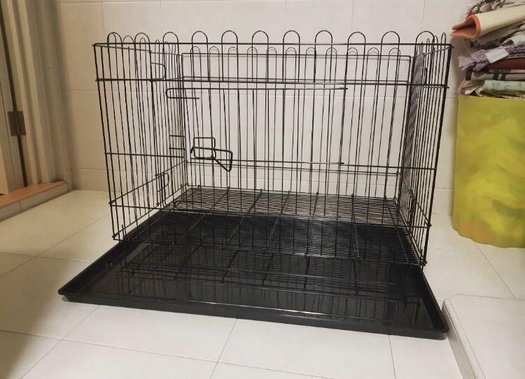 Open top shop dog cage