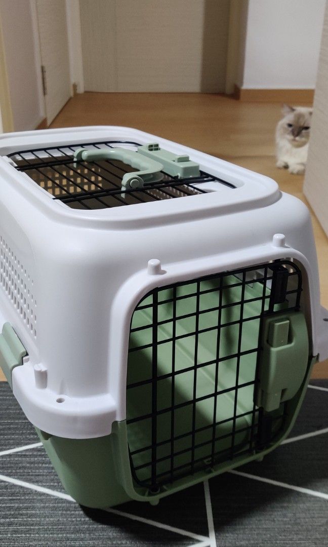 Pet Carrier Size S, Pet Supplies, Homes & Other Pet Accessories on