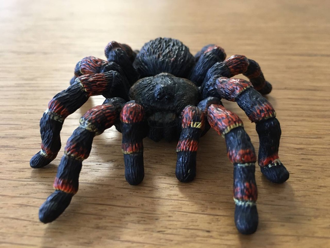 Schleich tarantula hot sale