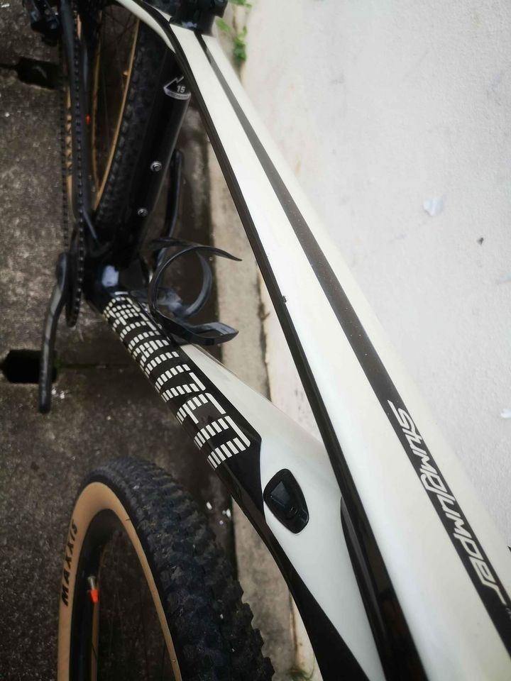 Specialized best sale stumpjumper marathon
