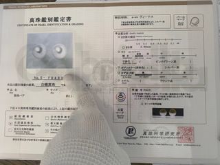 （分類：）位於 。 由 gabriella_studio 提交（商品編號 1253297556，圖片 1）。簡介： 。