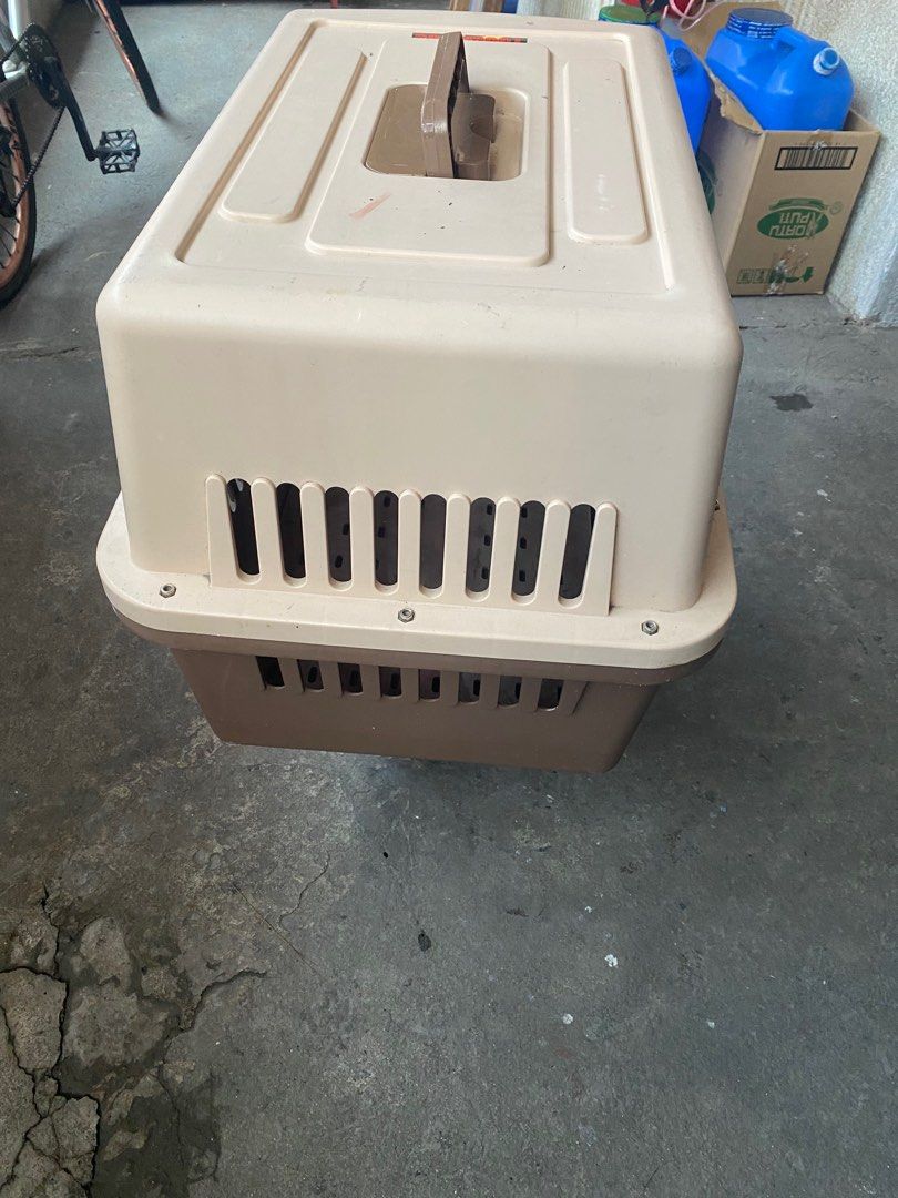 Dod carrier (Category: Homes & Other Pet Accessories) located in Pasay City. Submitted by edecer (Listing ID 1253298777, Image 1). Description: .