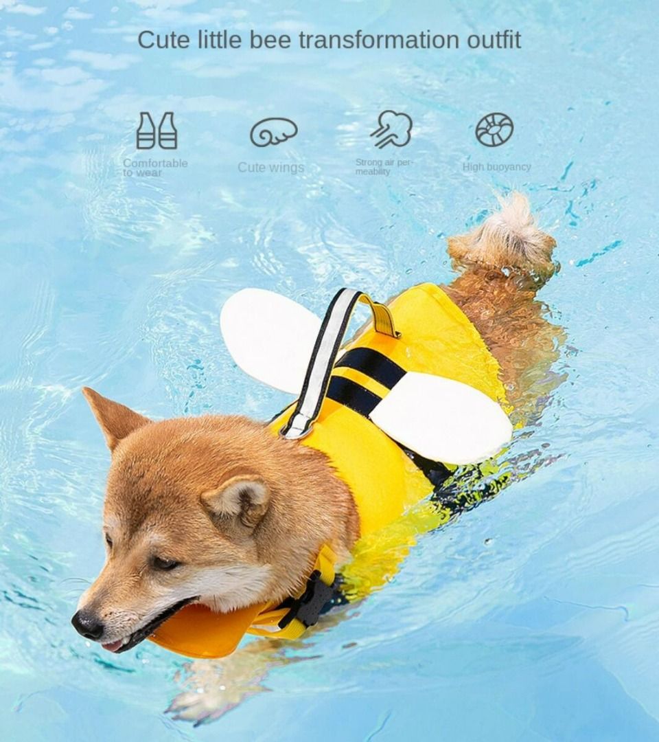 Cute dog life jacket outlet