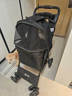 （分類：）位於 。 由 connie25082001 提交（商品編號 1253200413，圖片 1）。簡介： 。