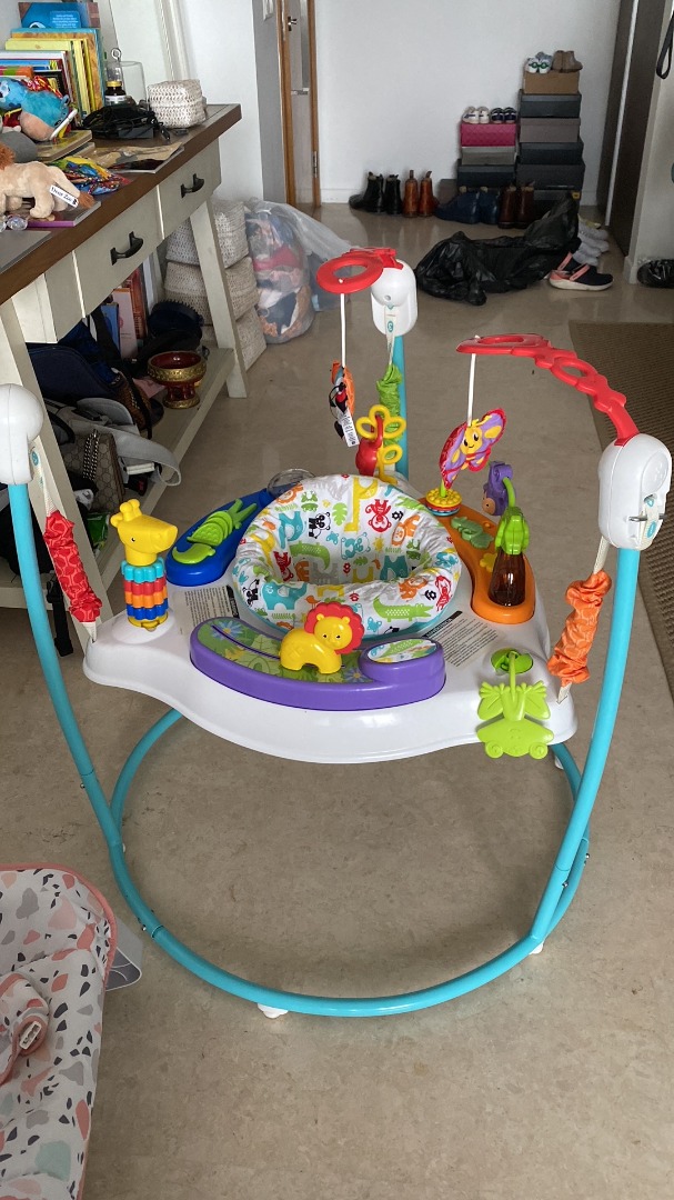Fisher price animal top activity jumperoo canada