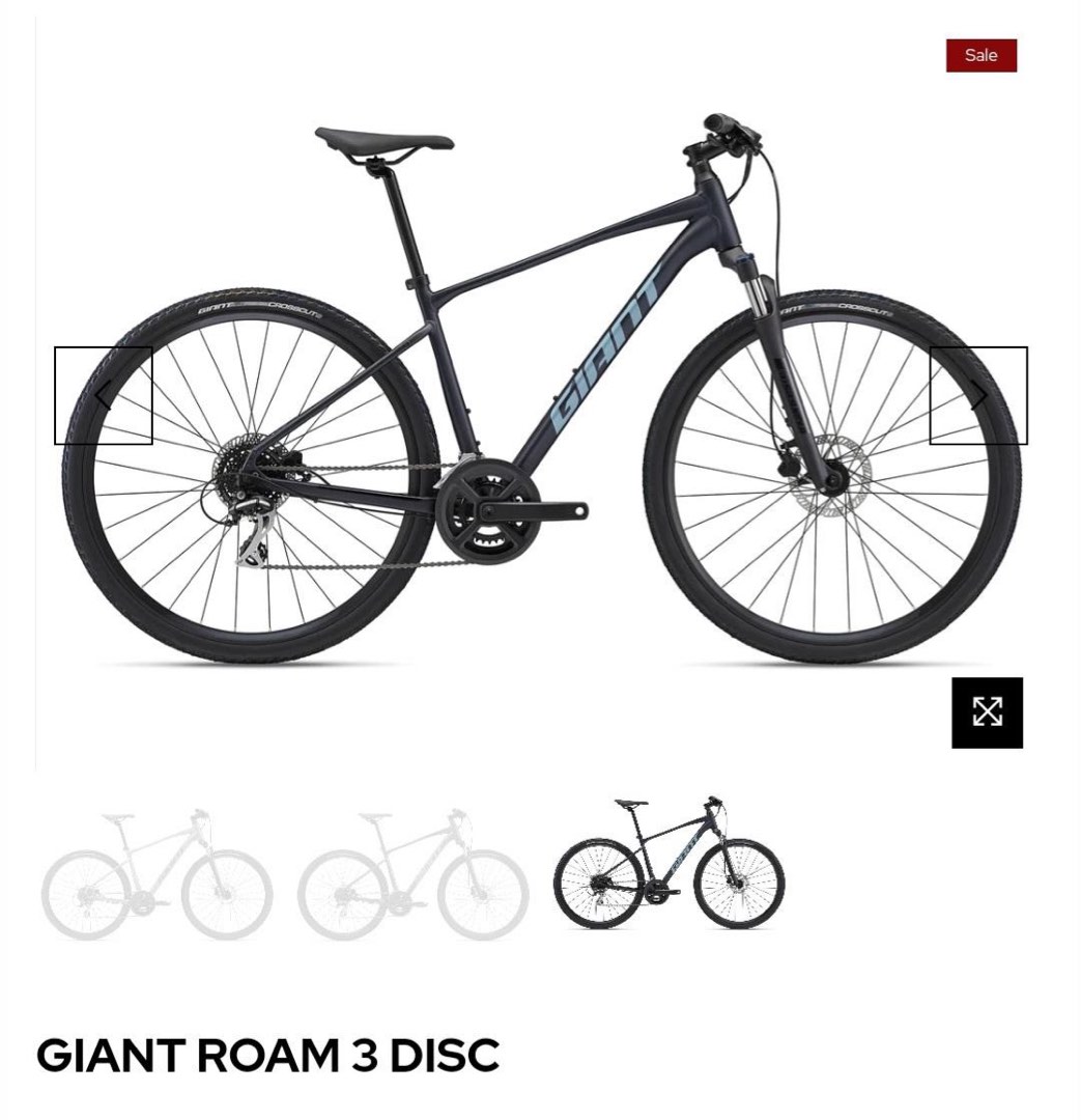 Roam 1 disc discount 2021