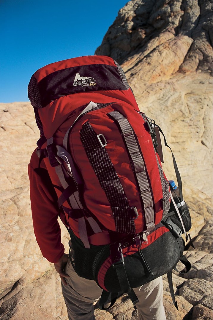 Gregory denali pro hot sale backpack