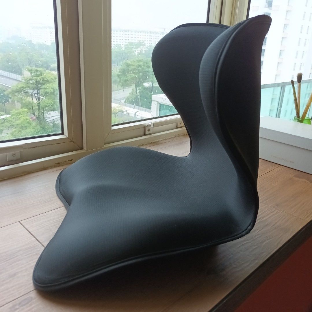 Homlly Trusby Ergonomic Chair Back Lumbar Support for Good