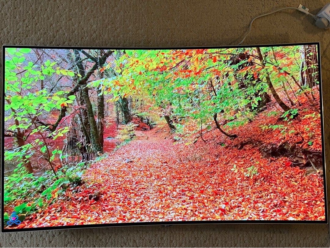 LG OLED55C6P curved wall mounted, 家庭電器, 電視 & 其他娛樂, 電視 Carousell