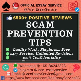 👍🏻 Feedback & Notice ⛔️ Collection item 1
