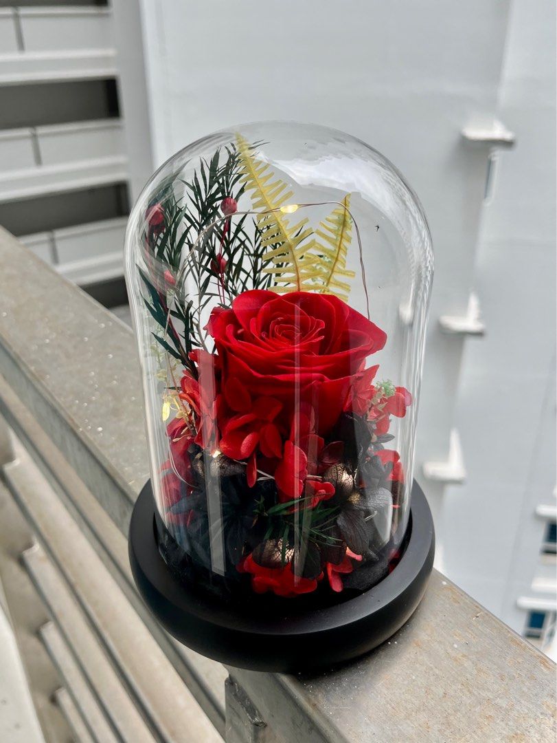 Real Natural Roses Preserved in Glass Dome with Fairy Lights for