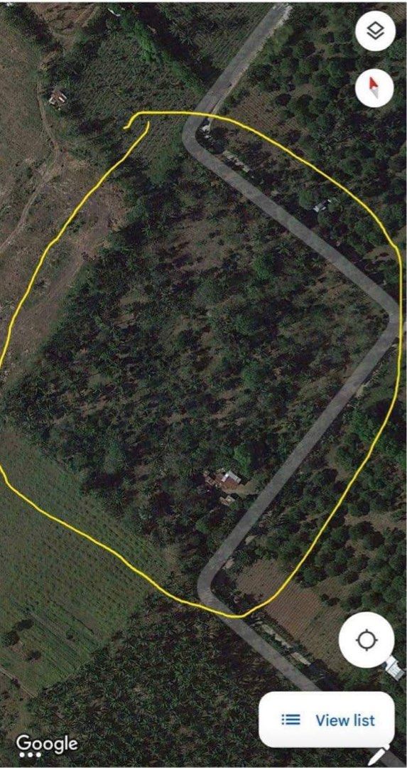 RUSH SALEFarm Lot in Sta. Ana San Pablo,Laguna, Property, For Sale
