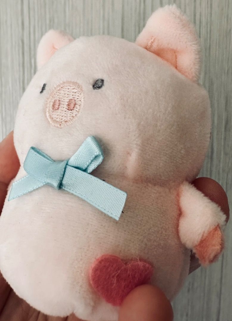 Zashikibuta plush hot sale
