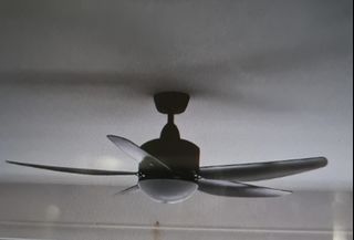 (Category: ) located in . Submitted by fre8161 (Listing ID 1253270046, Image 1). Description: .