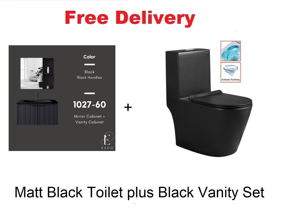 Vanity wash basin 102760 plus Matt Black Toilet bowl Package WA