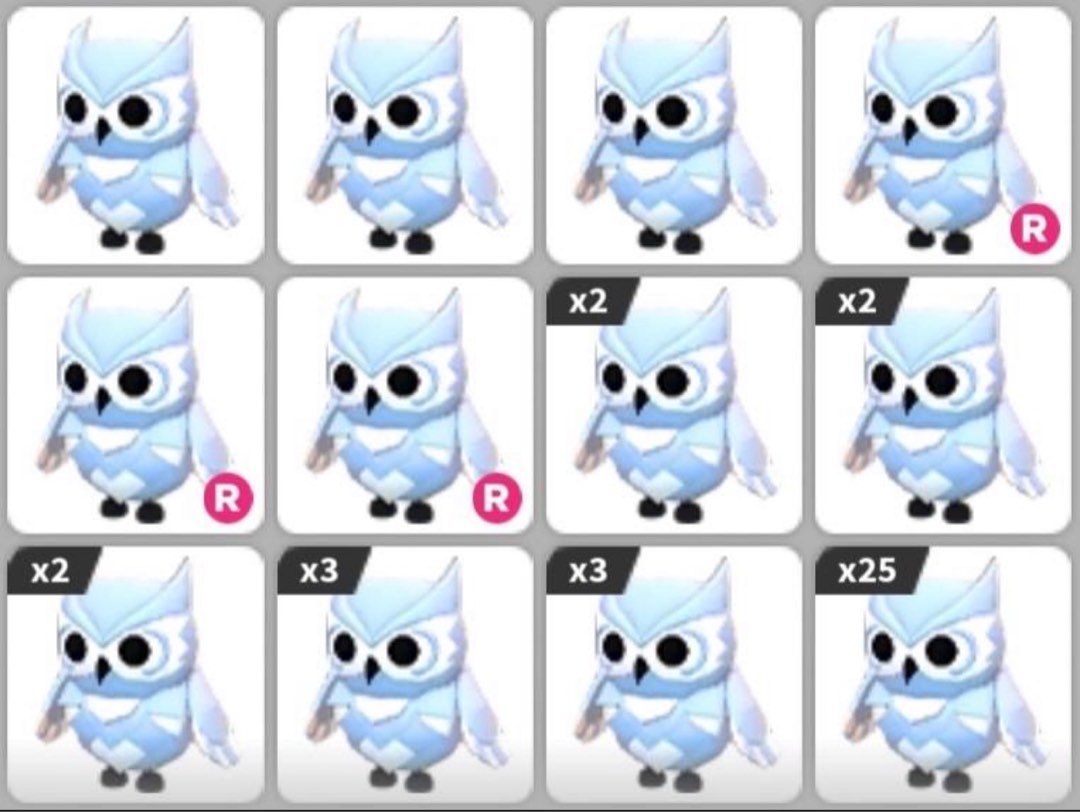 Adopt me pets (Snow Owl/NFR Snow owl), Video Gaming, Gaming Accessories