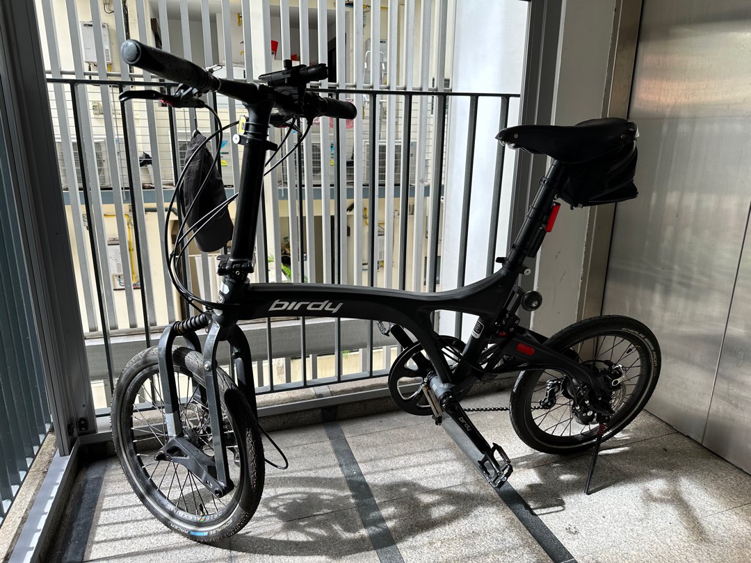 Birdy rohloff 2021 clearance