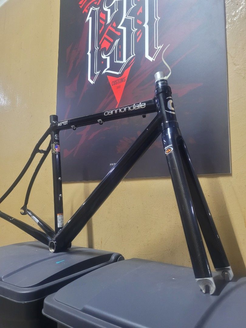 Cannondale capo track bike online