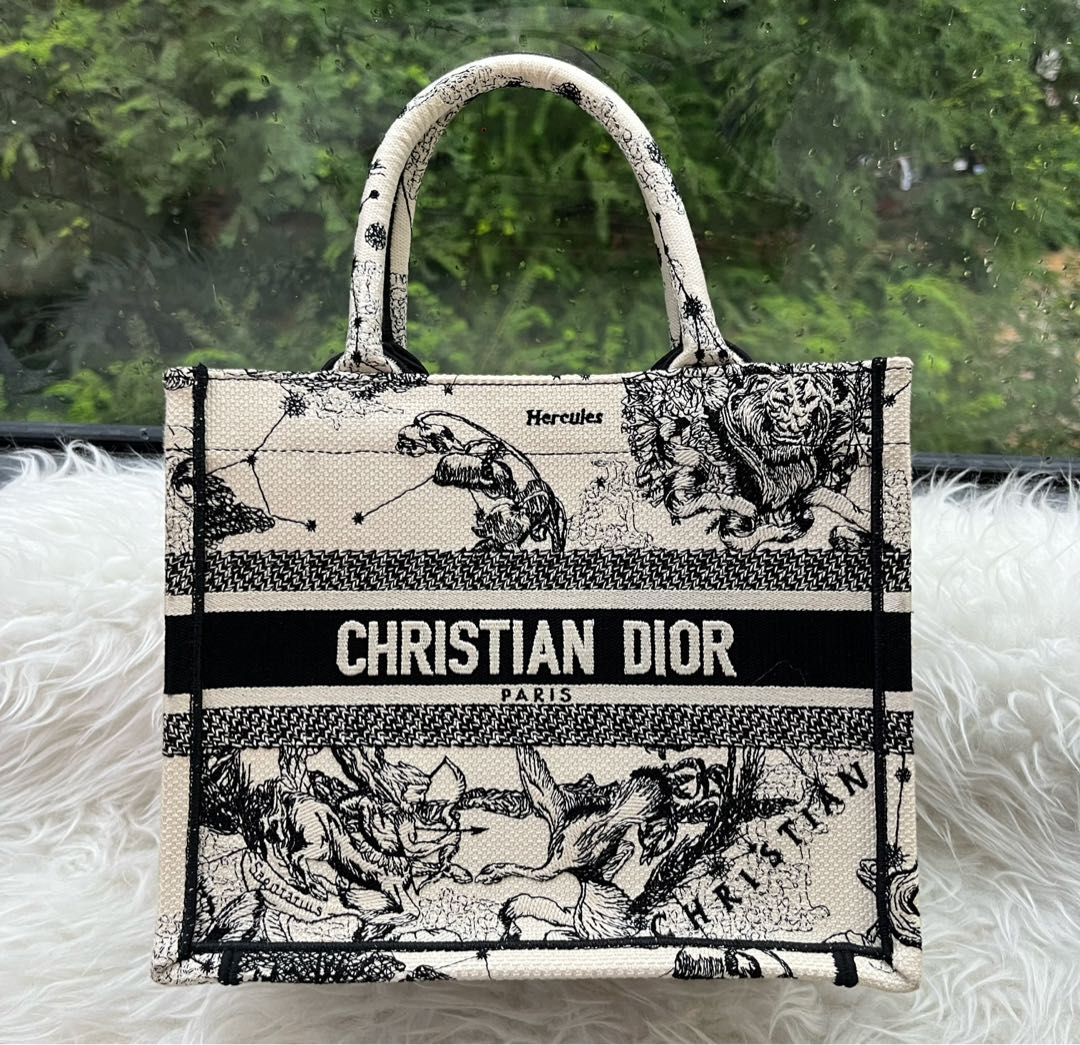 Christian Dior - Book Tote (Small), Luxury, Bags & Wallets on Carousell