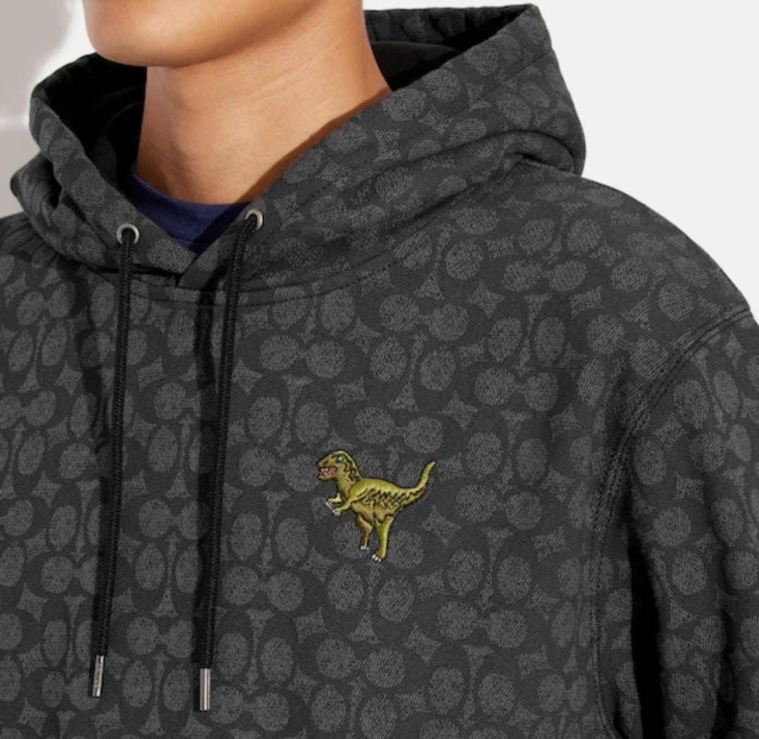Coach Signature Rexy Hoodie Men s Luxury Apparel on Carousell