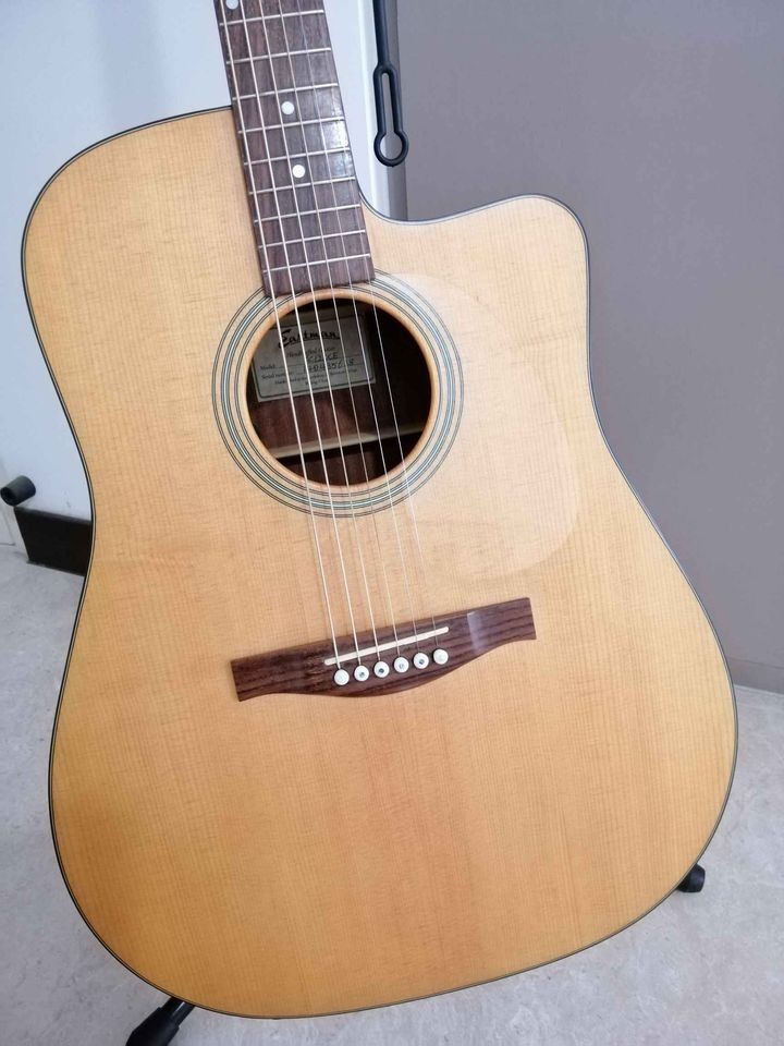 Eastman ac120ce sale
