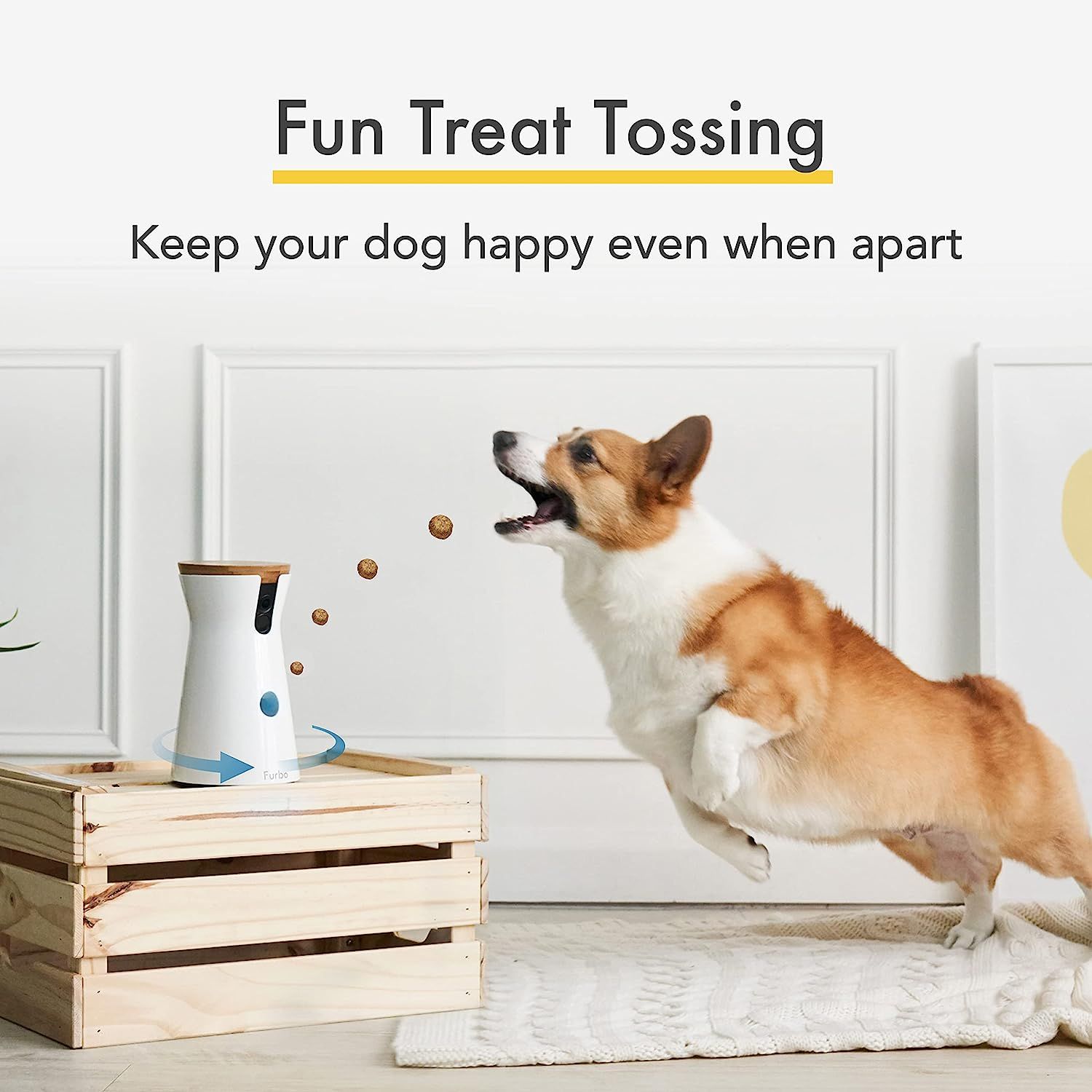 Furbo wifi dog cam sales
