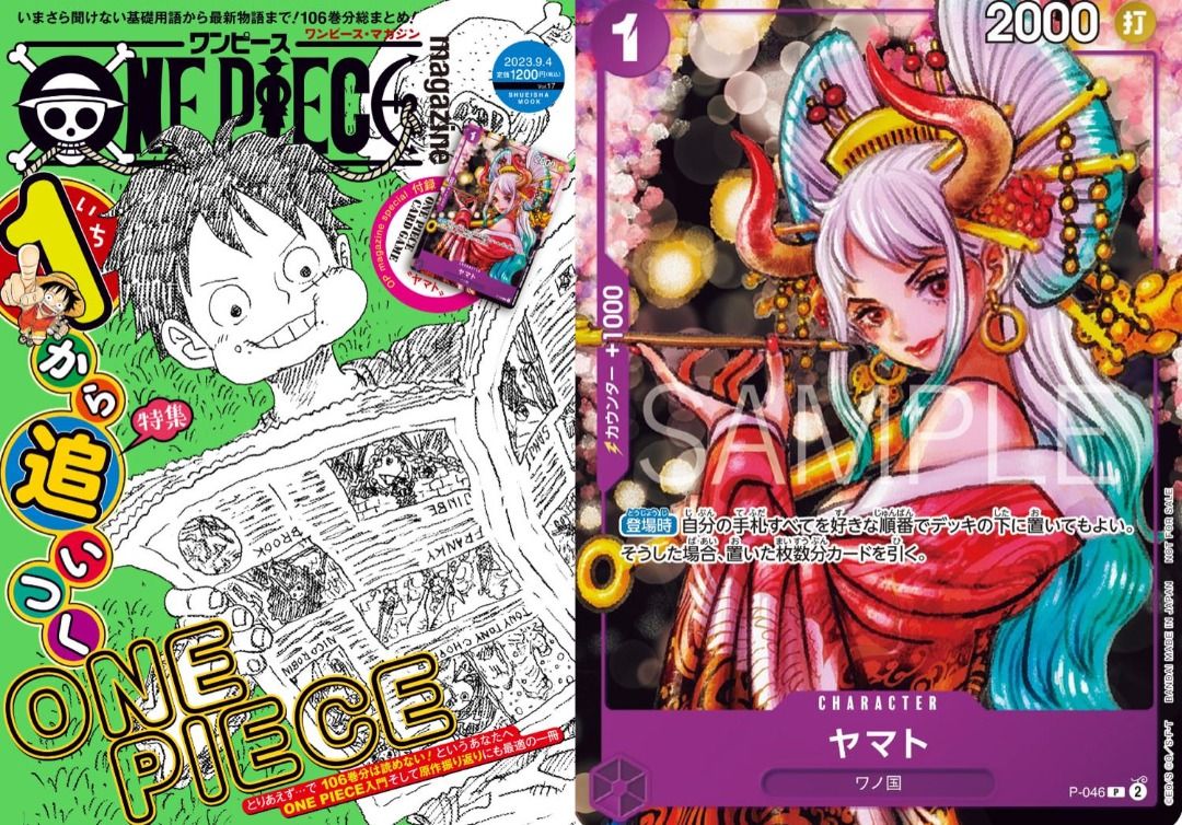 ONE PIECE magazine Vol.17