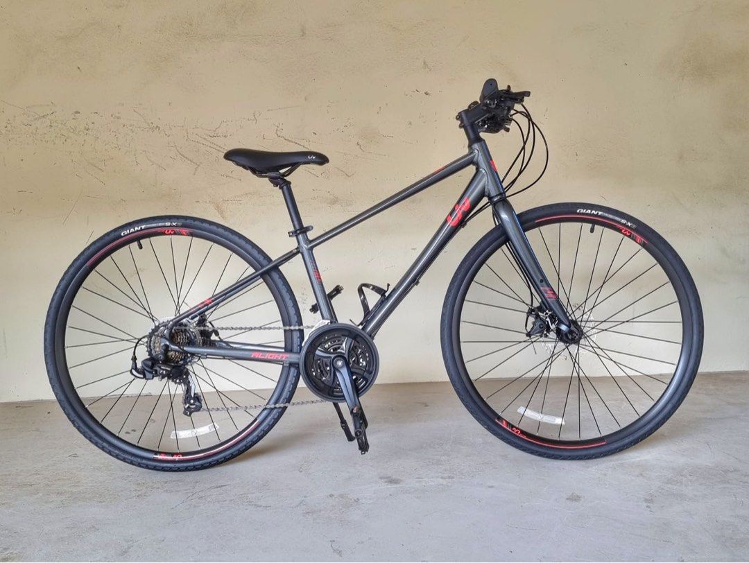 Liv flight bike online