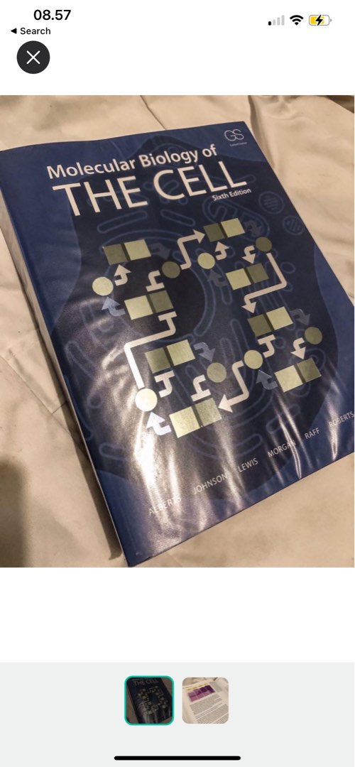 Molecular Biology of THE CELL 第6版 日本語版 Amazon | Molecular Biology of the Cell | Alberts, Bruce