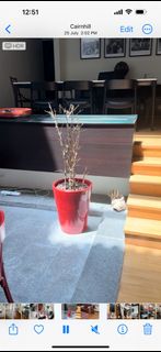 (Category: ) located in . Submitted by jenguh (Listing ID 1253379309, Image 1). Description: .