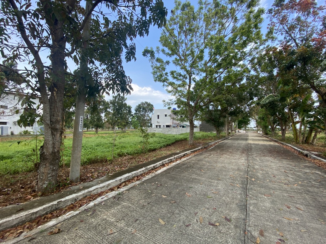 Residential Lot For Sale in Greenmeadows Jaro Iloilo near Robinsons