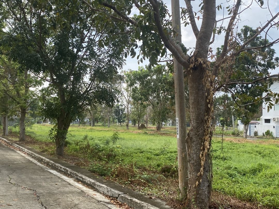 Residential Lot For Sale in Greenmeadows Jaro Iloilo near Robinsons