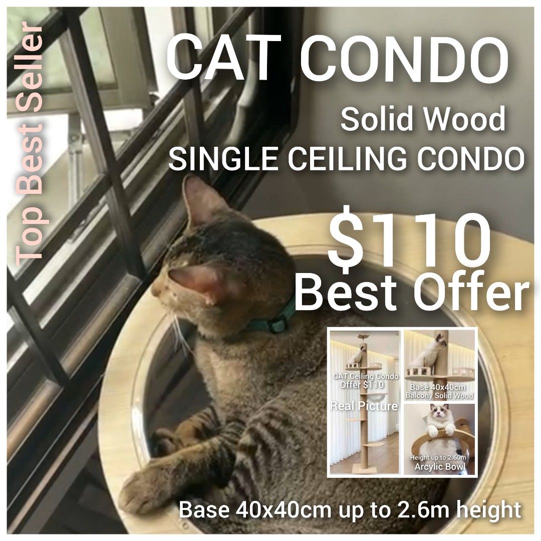 Single Ceiling Cat Condo tree Solid Wood Best Seller Cat condo