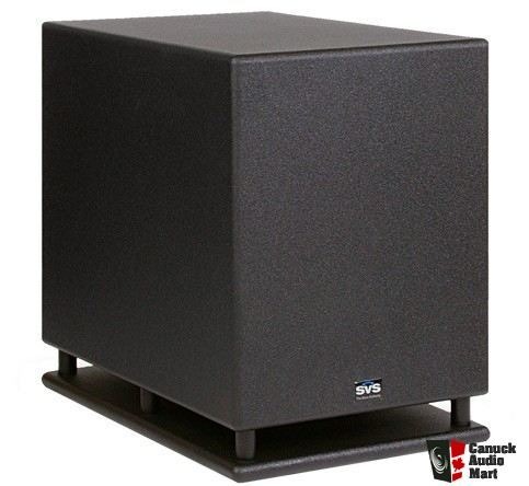 Pb12 plus new arrivals