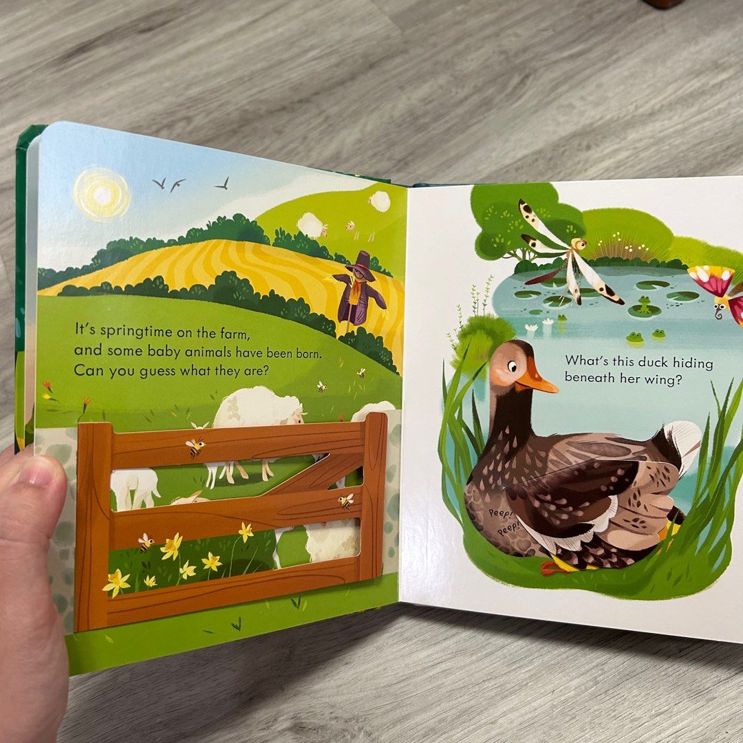 Usborne Peek Inside the Farm / Zoo Lift the Flap Books, Hobbies & Toys ...