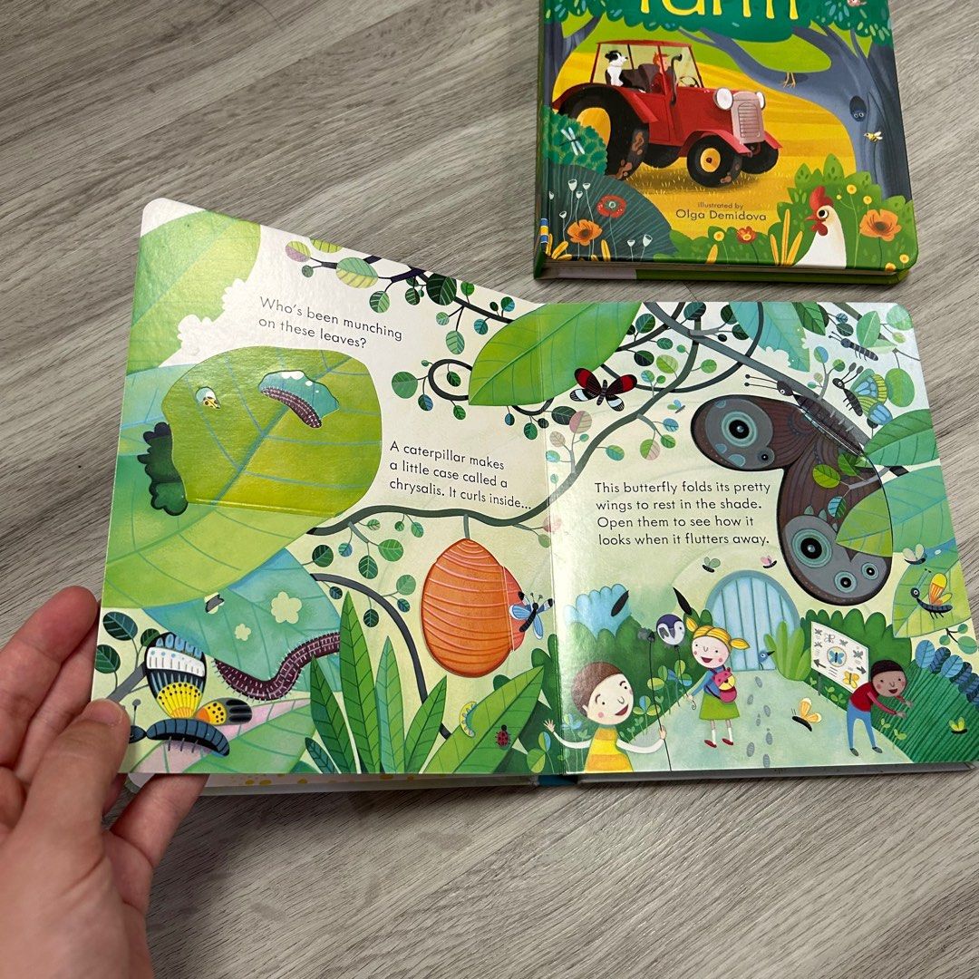 Usborne Peek Inside the Farm / Zoo Lift the Flap Books, Hobbies & Toys ...