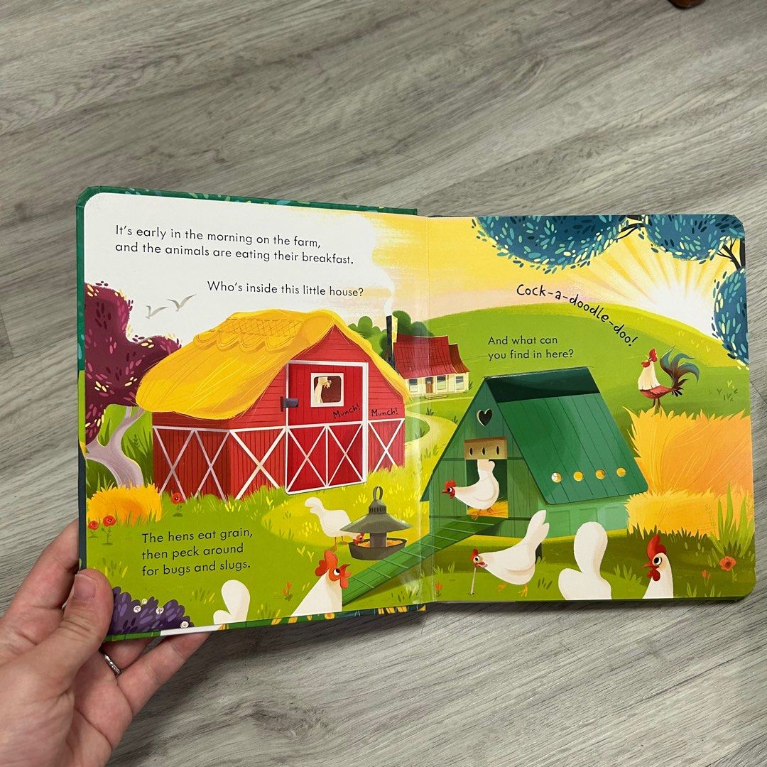 Usborne Peek Inside the Farm / Zoo Lift the Flap Books, Hobbies & Toys ...
