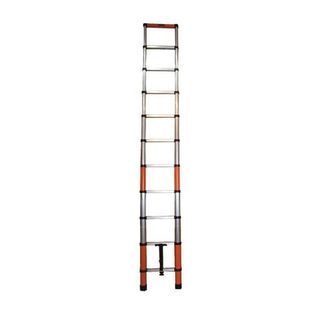 10 steps Aluminum Adjustable Ladder