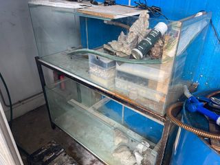 (Category: ) located in . Submitted by leehanwei85 (Listing ID 1253591518, Image 1). Description: .