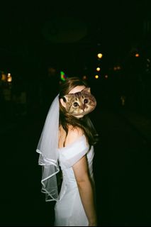 （分類：）位於 。 由 gnutok 提交（商品編號 1253639523，圖片 1）。簡介： 。
