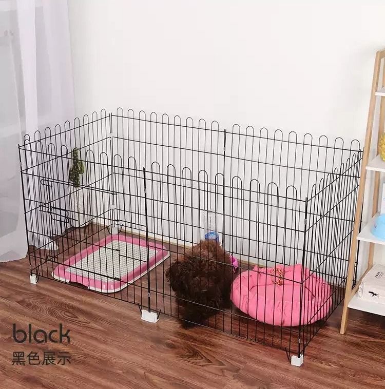 Guinea pig indoor pen clearance